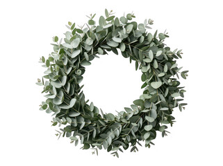 Eucalyptus leaf green wreath made of fresh eucalyptus branches and leaves on white background for decoration and design  a circular arrangement of eucalyptus foliage transparent background