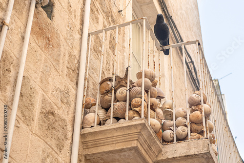 Canvastavla Quirky balcony with shells and a pigeon in Monopoli, Puglia, Italy, featuring Ca