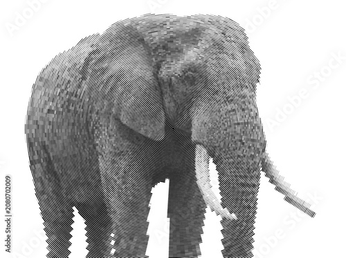 Canvas Print Awesome wild elephant animal displaying safari mammal jungle elements for background spiral line art and halftone art layouts