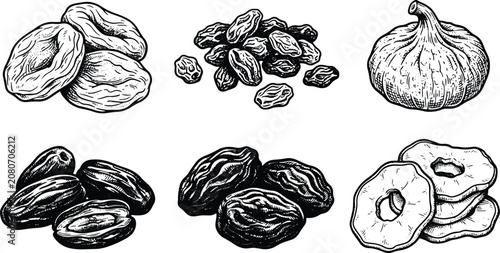 Vintage engraved dried fruits illustration set featuring apricots raisins dates figs and apple