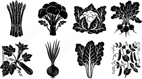 Valokuva Black silhouette vegetables including asparagus, broccoli, cauliflower, radish,