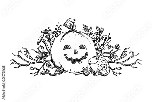 A hand drawn, monochrome ink illustration for Halloween posters. This black and white drawing featuring a pumpkin, a toad, and mushrooms is created in a simple style for packaging and greeting cards.