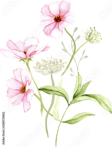 Watercolor Pink Cosmos Wildflower Bouquet Illustration