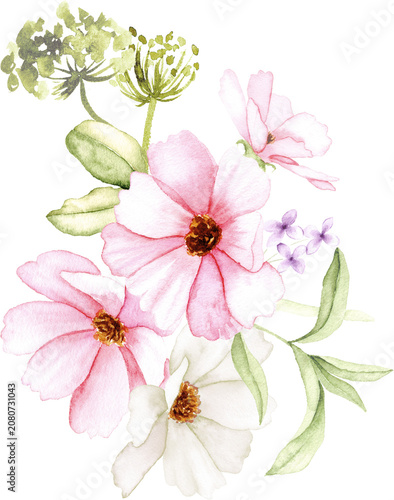 Watercolor Cosmos Flower Cluster Arrangement Illustration