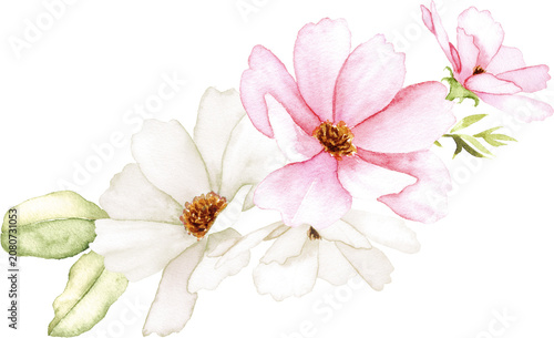 Watercolor Floral Spray With Cosmos Flowers