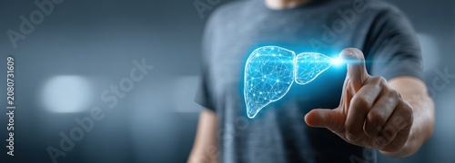 Medical illustration of human torso with highlighted liver for health awareness