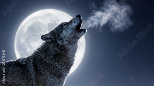 Cuadro en lienzo Wolf howling at large bright full moon during dark night with visible breath vapor in cold air and starry sky background creating mysterious atmospheric feeling