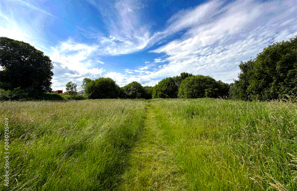 Fototapeta premium A lush green field rolls out toward the horizon, glowing beneath a vibrant blue sky. Soft white clouds drift overhead, adding texture and depth to the open sweep of Scaley Hills, Wibsey, Yorkshire, UK
