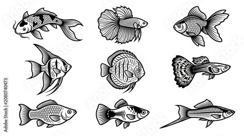 A monochrome flat vector icon set of 9 detailed ornamental fish including koi, betta, goldfish, angelfish, discus, guppy, molly, platy, and swordtail, elegant fins, decorative tails, flowing shapes