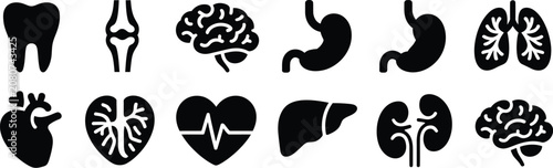Bild auf Leinwand Human, internal organ line icons set, liver, tooth, brain, stomach, heart, lungs, urinary system, bone, skin layer, and intestine, healthcare signs, isolated on white background