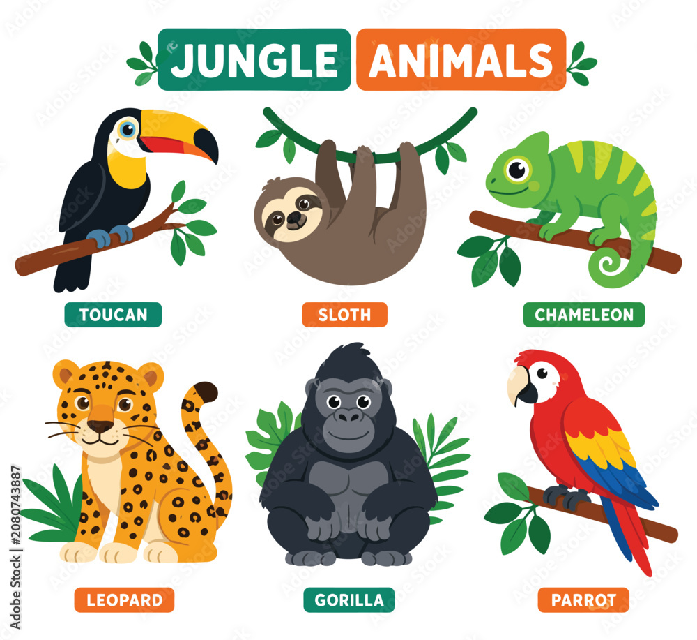 Fototapeta premium Wild jungle animals collection with names educational chart.
