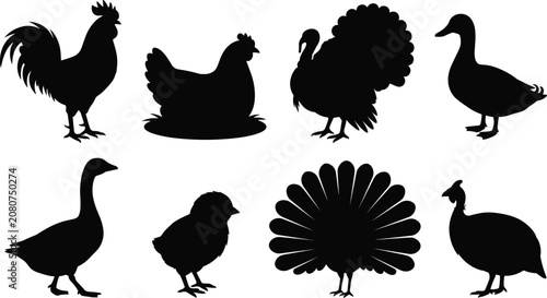 Obraz na płótnie Farm bird silhouette collection featuring rooster, hen, duck, goose, turkey, pea