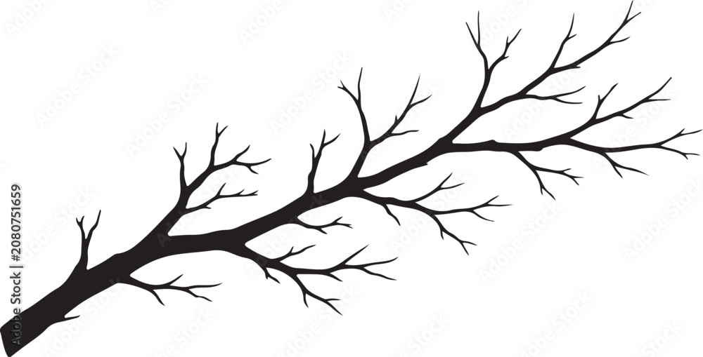 Fototapeta premium Bare tree branch silhouette vector