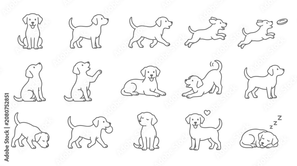 Fototapeta premium Collection of various dog poses and actions