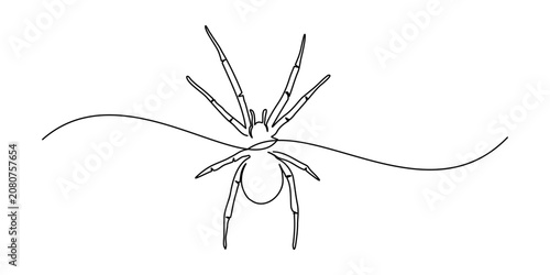 Halloween spider line art