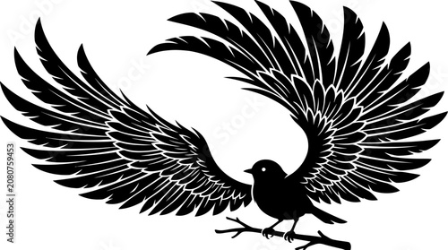 Black bird with spread wings landing.