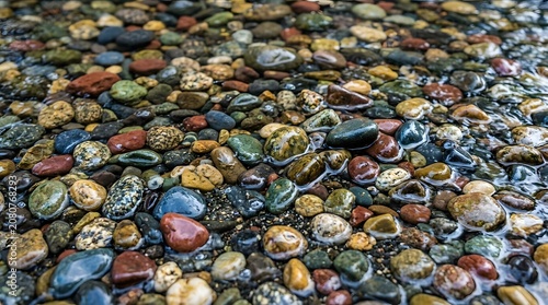 Wet River Pebbles Smooth Texture - High Resolution Background