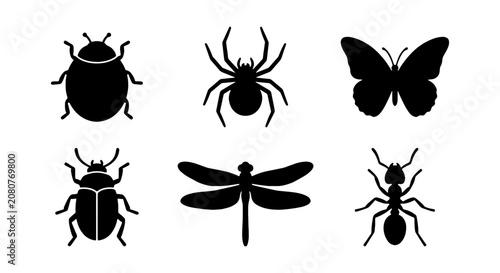 Insect Icons Set: Butterfly, Spider, Beetle, Dragonfly, Ant Silhouettes for Nature Graphics