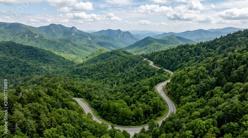 Winding mountain road through lush green forest landscape