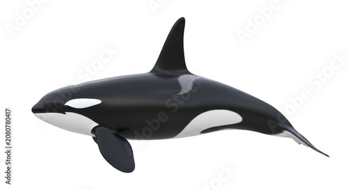 3D render of orca whale leaping from ocean with water splash in studio lighting
