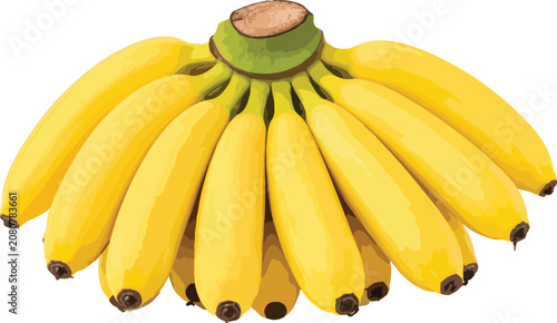 Foto Bunch of Ripe Yellow Bananas Isolated Keywords: bananas, fruit, yellow, ripe, bu