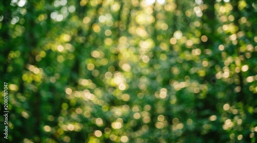 Abstract green and yellow bokeh lights background with soft glowing spots of light for a festive and natural atmosphere