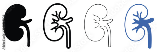 Obraz na płótnie Kidney icon set featuring human kidneys with ureters, medical anatomy symbols, u