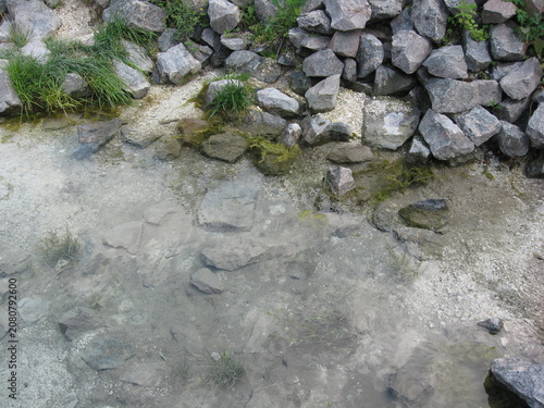 Canvas Print Rocky shore with clear water and green vegetation by riverbank