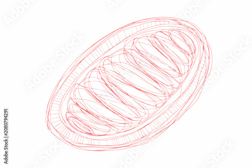 Red scribble sketch of an oval shape on a white background