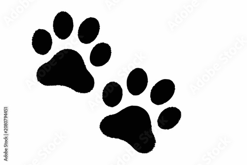 Black Paw Print Silhouettes On White Background