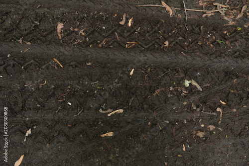Overhead view of a wet muddy ground with tire tracks and fallen leaves