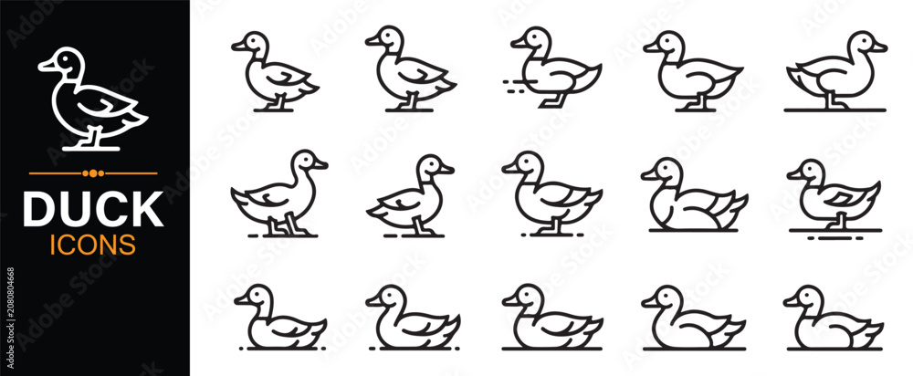Obraz premium Cute Bird Outline Icons