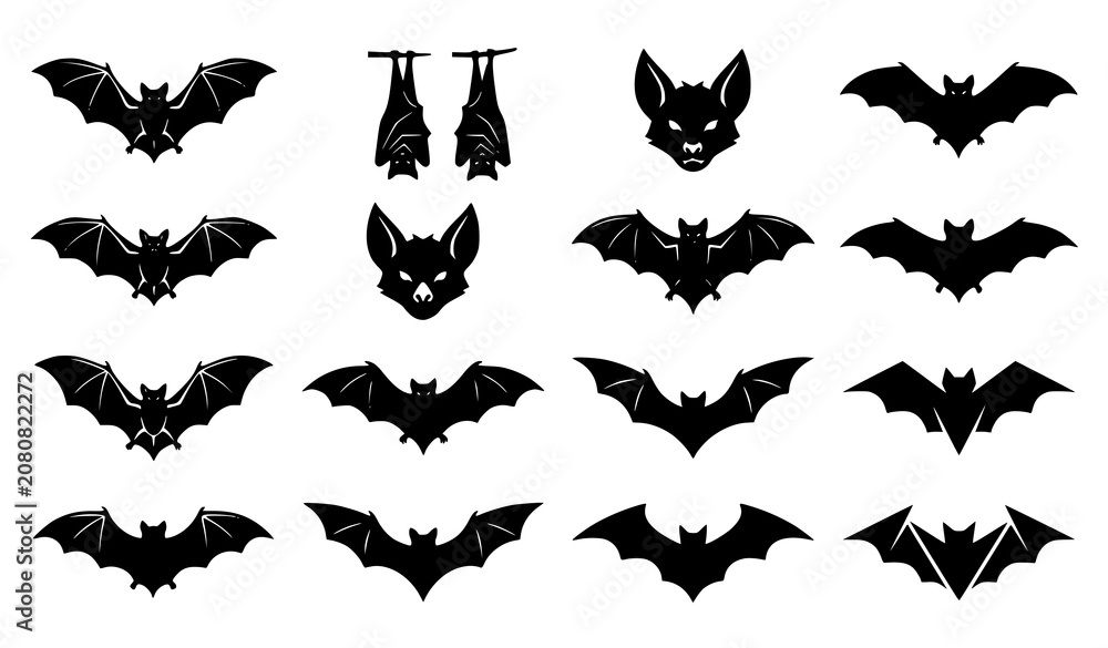 Fototapeta premium Modern bat logo and silhouette vector collection with flying wildlife and nocturnal animal icons