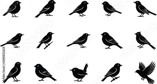 Fotografía Songbird Silhouette Icon Collection with Robins, Finches, Sparrows, Thrushes, Bl