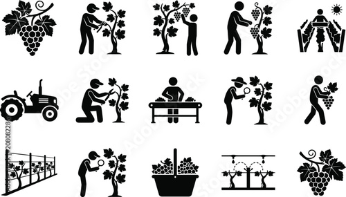 Foto Viticulture and Winemaking Icon Collection with Grapes, Harvesting, Pruning, Tra