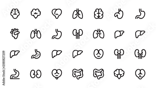 Bild auf Leinwand Human Internal Organs Line Icons Set