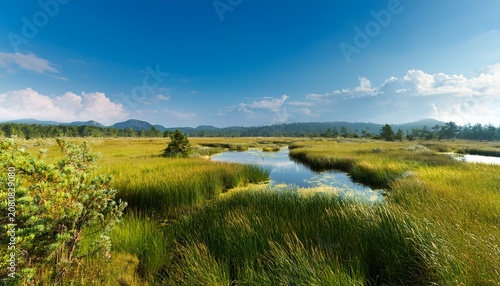 Landscape Of Wetland On A Clear Summer Day
