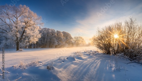 Gentle Winter Morning Light Illuminates A Serene Landscape With Delicate Frost Glistening On Tree Branches And A Blanket Of Fresh Sparkling Snow Creating A Tranquil Ethereal Beauty