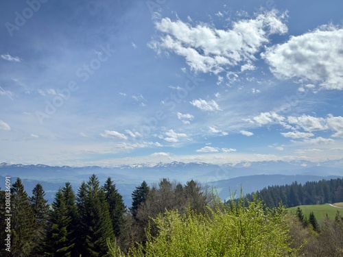 Pfänder Panoramablick
