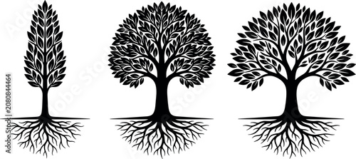 Canvastavla Tree of Life Black Silhouette Vector Set Featuring Detailed Leaf Canopies and Ro