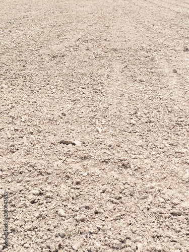 Organic fertile brown soil background closeup view of dry plowed agricultural land texture natural earth texture for farming and gardening design.