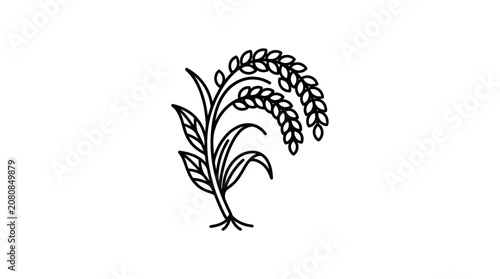 Minimal Rice Grain Plant Line Art Vector