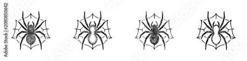 Billede på lærred Sketch tarantula logo design set