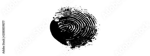 Bild auf Leinwand Grunge black fingerprint or thumbprint vector illustration for biometric identity security forensics and abstract graphic design background