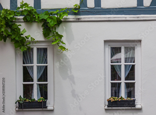 Quadro su tela Fassade mit Weinranken, Fachwerk und Fenstern
