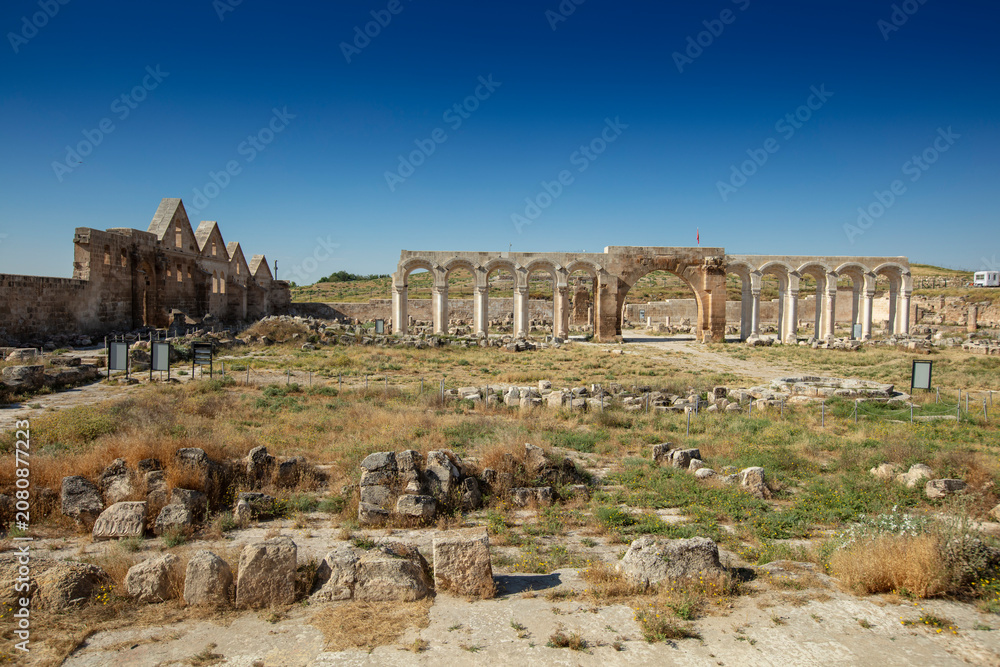 Fototapeta premium Historic Great Mosque of Harran and Ancient Ruins in Sanliurfa, Turkey