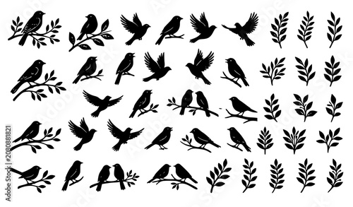 Tableau sur toile Flying bird silhouette collection with leafy branches featuring various perched