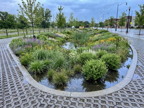Rain garden native plants beside permeable paving in city park landscape