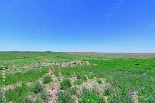 Panoramic View of the Expansive Ordos Grasslands in Inner Mongolia Featuring Rolling Meadows, Endless Prairie, and Peaceful Natural Scenery of China