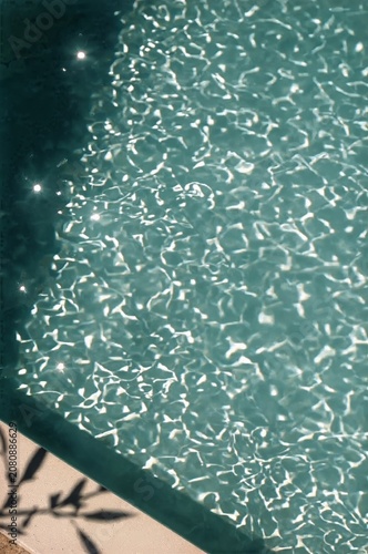 Water Reflects Light in a Pool Area Near a Garden During the Day